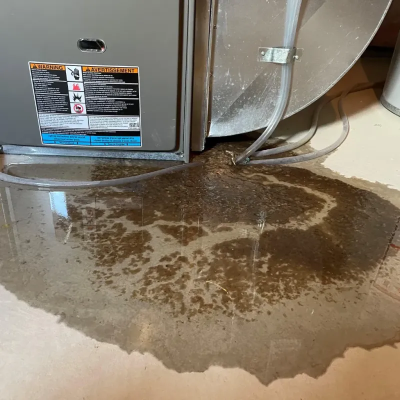 Appliance Leak Cleanup in Marion County, AL